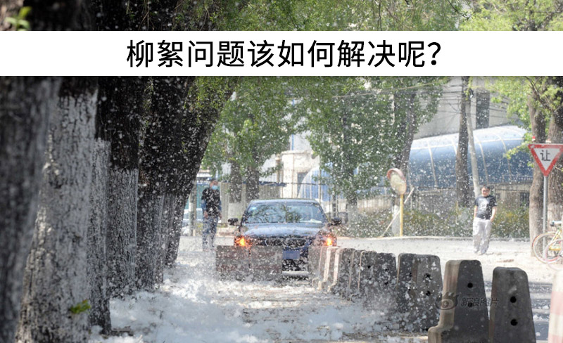 遇到“柳絮”不慌!這樣做，節(jié)能維修費(fèi)用